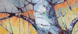 Silver Birch Study | 2019 | Oil on Canvas | 51 x 36 cm